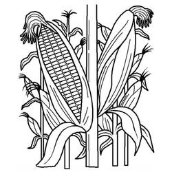 Dibujo para colorear: Maíz (Comida y Nutrición) #207444 - Dibujos para Colorear e Imprimir Gratis