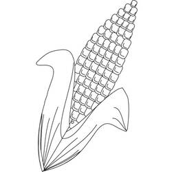 Dibujo para colorear: Maíz (Comida y Nutrición) #207450 - Dibujos para Colorear e Imprimir Gratis