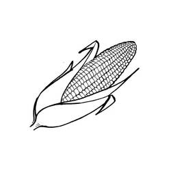 Dibujo para colorear: Maíz (Comida y Nutrición) #207458 - Dibujos para Colorear e Imprimir Gratis