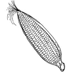 Dibujo para colorear: Maíz (Comida y Nutrición) #207464 - Dibujos para Colorear e Imprimir Gratis