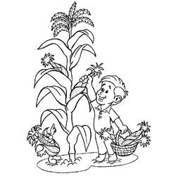 Dibujo para colorear: Maíz (Comida y Nutrición) #207466 - Dibujos para Colorear e Imprimir Gratis