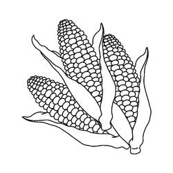 Dibujo para colorear: Maíz (Comida y Nutrición) #207467 - Dibujos para Colorear e Imprimir Gratis