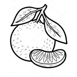 Dibujo para colorear: Naranja (Comida y Nutrición) #208636 - Dibujos para Colorear e Imprimir Gratis