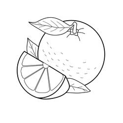 Dibujo para colorear: Naranja (Comida y Nutrición) #208639 - Dibujos para Colorear e Imprimir Gratis