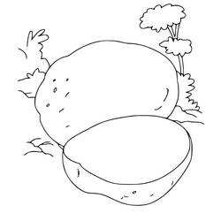 Dibujo para colorear: Patata (Comida y Nutrición) #207413 - Dibujos para Colorear e Imprimir Gratis