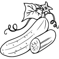 Dibujo para colorear: Pepino (Comida y Nutrición) #207534 - Dibujos para Colorear e Imprimir Gratis