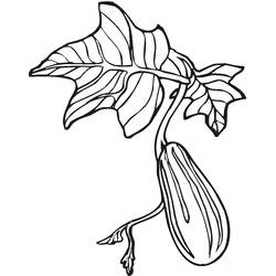 Dibujo para colorear: Pepino (Comida y Nutrición) #207546 - Dibujos para Colorear e Imprimir Gratis