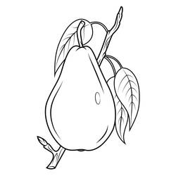 Dibujo para colorear: Pera (Comida y Nutrición) #203734 - Dibujos para Colorear e Imprimir Gratis