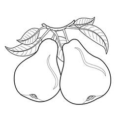 Dibujo para colorear: Pera (Comida y Nutrición) #203748 - Dibujos para Colorear e Imprimir Gratis