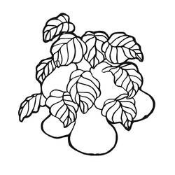 Dibujo para colorear: Pera (Comida y Nutrición) #203749 - Dibujos para Colorear e Imprimir Gratis