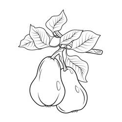 Dibujo para colorear: Pera (Comida y Nutrición) #203752 - Dibujos para Colorear e Imprimir Gratis
