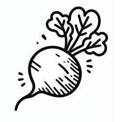Dibujo Rábano (Comida y Nutrición) #220964 para imprimir y colorear