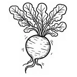 Dibujo Rábano (Comida y Nutrición) #220965 para imprimir y colorear