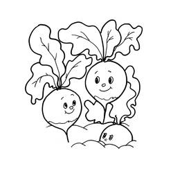 Dibujo Rábano (Comida y Nutrición) #220973 para imprimir y colorear