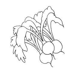 Dibujo Rábano (Comida y Nutrición) #220979 para imprimir y colorear