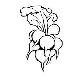 Dibujo Rábano (Comida y Nutrición) #220980 para imprimir y colorear