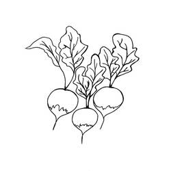 Dibujo Rábano (Comida y Nutrición) #220985 para imprimir y colorear