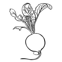 Dibujo Rábano (Comida y Nutrición) #220988 para imprimir y colorear
