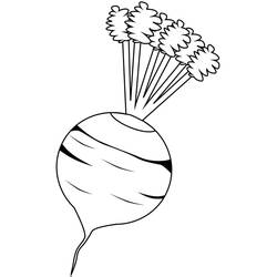 Dibujo para colorear: Remolacha (Comida y Nutrición) #213787 - Dibujos para Colorear e Imprimir Gratis