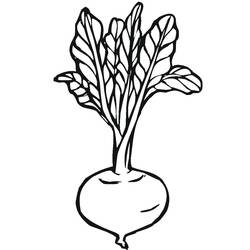 Dibujo para colorear: Remolacha (Comida y Nutrición) #213788 - Dibujos para Colorear e Imprimir Gratis