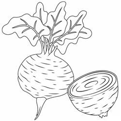 Dibujo para colorear: Remolacha (Comida y Nutrición) #213792 - Dibujos para Colorear e Imprimir Gratis