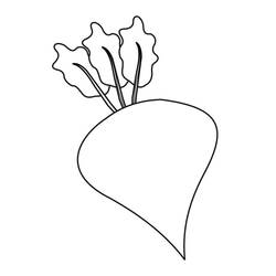 Dibujo para colorear: Remolacha (Comida y Nutrición) #213796 - Dibujos para Colorear e Imprimir Gratis