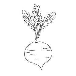 Dibujo para colorear: Remolacha (Comida y Nutrición) #213797 - Dibujos para Colorear e Imprimir Gratis