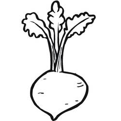 Dibujo para colorear: Remolacha (Comida y Nutrición) #213799 - Dibujos para Colorear e Imprimir Gratis
