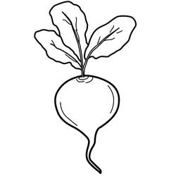 Dibujo para colorear: Remolacha (Comida y Nutrición) #213801 - Dibujos para Colorear e Imprimir Gratis