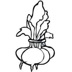 Dibujo para colorear: Remolacha (Comida y Nutrición) #213802 - Dibujos para Colorear e Imprimir Gratis