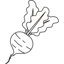 Dibujo para colorear: Remolacha (Comida y Nutrición) #213805 - Dibujos para Colorear e Imprimir Gratis