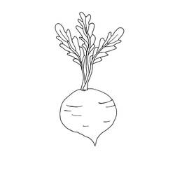 Dibujo para colorear: Remolacha (Comida y Nutrición) #213807 - Dibujos para Colorear e Imprimir Gratis