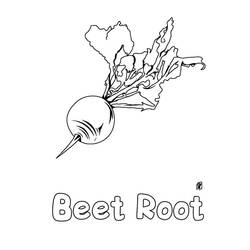 Dibujo para colorear: Remolacha (Comida y Nutrición) #213809 - Dibujos para Colorear e Imprimir Gratis
