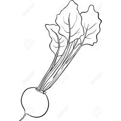 Dibujo para colorear: Remolacha (Comida y Nutrición) #213810 - Dibujos para Colorear e Imprimir Gratis