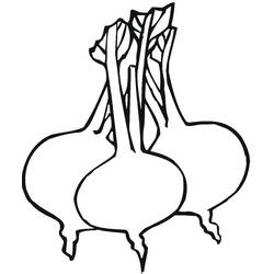 Dibujo para colorear: Remolacha (Comida y Nutrición) #213811 - Dibujos para Colorear e Imprimir Gratis