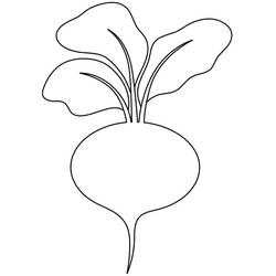 Dibujo para colorear: Remolacha (Comida y Nutrición) #213813 - Dibujos para Colorear e Imprimir Gratis