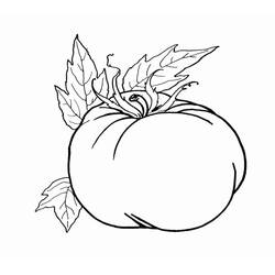 Dibujo para colorear: Tomate (Comida y Nutrición) #195368 - Dibujos para Colorear e Imprimir Gratis
