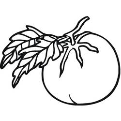 Dibujo para colorear: Tomate (Comida y Nutrición) #195385 - Dibujos para Colorear e Imprimir Gratis