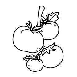 Dibujo para colorear: Tomate (Comida y Nutrición) #195386 - Dibujos para Colorear e Imprimir Gratis
