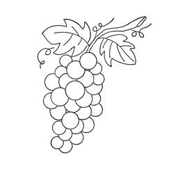 Dibujo para colorear: Uvas (Comida y Nutrición) #212411 - Dibujos para Colorear e Imprimir Gratis