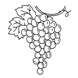 Dibujo para colorear: Uvas (Comida y Nutrición) #212412 - Dibujos para Colorear e Imprimir Gratis