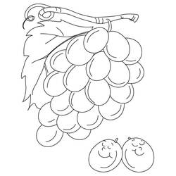Dibujo para colorear: Uvas (Comida y Nutrición) #212414 - Dibujos para Colorear e Imprimir Gratis
