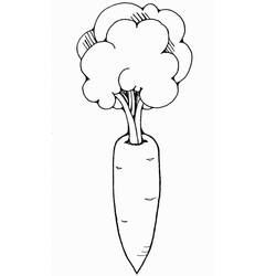 Dibujo para colorear: Zanahoria (Comida y Nutrición) #197511 - Dibujos para Colorear e Imprimir Gratis