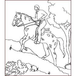 Dibujo Equitación (Deportes) #193442 para imprimir y colorear