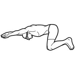 Dibujo Natación (Deportes) #192700 para imprimir y colorear