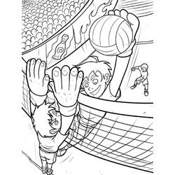 Dibujo Voleibol (Deportes) #177000 para imprimir y colorear