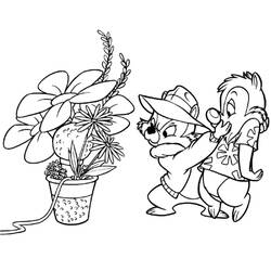 Dibujo para colorear: Chip y Dale for Kids (Dibujos Animados y Series Animadas) #185785 - Dibujos para Colorear e Imprimir Gratis