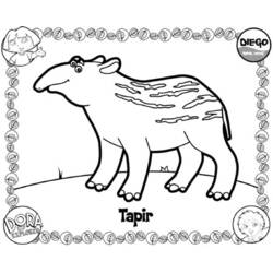 Dibujo para colorear: Go Diego! (Dibujos Animados y Series Animadas) #48508 - Dibujos para Colorear e Imprimir Gratis