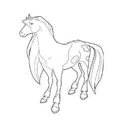Dibujo para colorear: Horseland (Dibujos Animados y Series Animadas) #53944 - Dibujos para Colorear e Imprimir Gratis