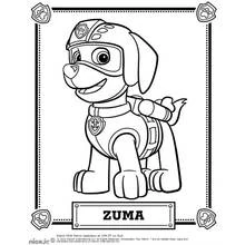 Dibujo para colorear: Paw Patrol (Dibujos Animados y Series Animadas) #44241 - Dibujos para Colorear e Imprimir Gratis